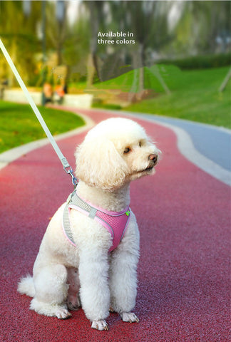 Cat Harness and Leash Adjustable Mesh 5 Color Reflective Vest Leash Set