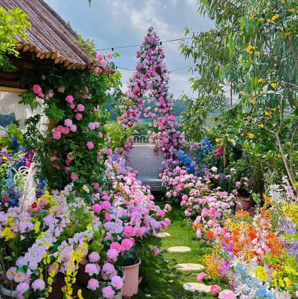 【3-дневно покълване】🔥Последен ден – 49% отстъпка! 🌺 Семена на катерлива роза