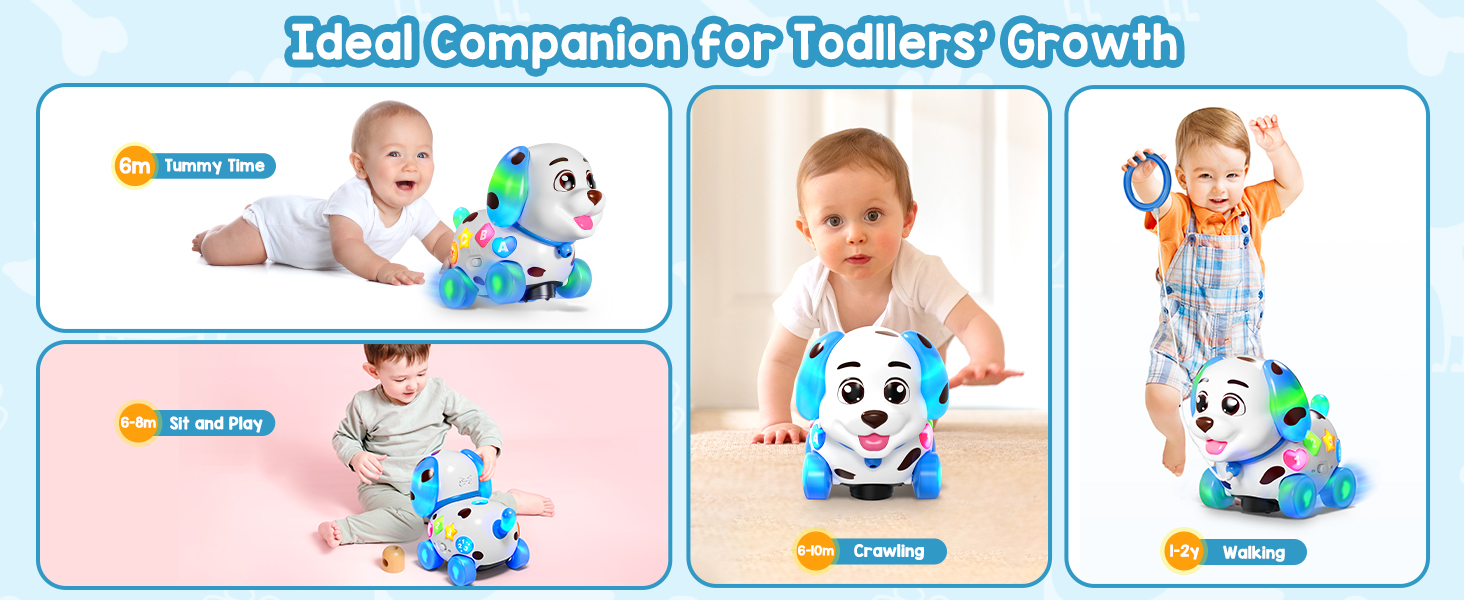 musical crawling and walking toy for baby 6-9-10-12-18 months