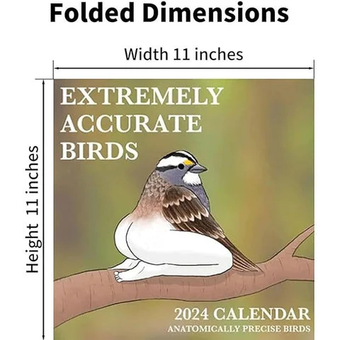 Το πιο πρόσφατο ημερολόγιο πουλιών 2024 με πόδια