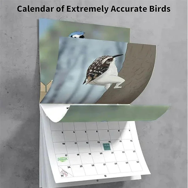 Το πιο πρόσφατο ημερολόγιο πουλιών 2024 με πόδια