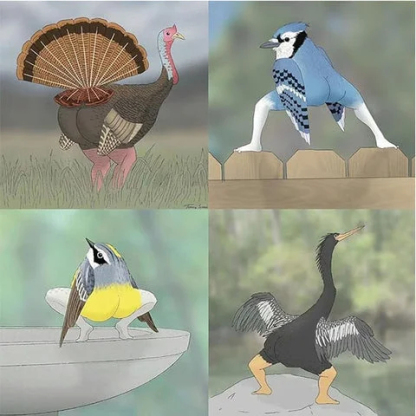 Το πιο πρόσφατο ημερολόγιο πουλιών 2024 με πόδια