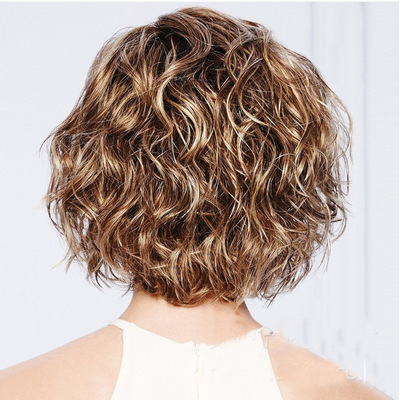Short Curly Hairstyles Women's Blonde Color Lace Front Cap Wigs 100% Human Hair Wigs 14Inch
