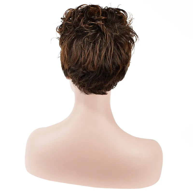 Natural African American Hairstyle Short Curly Wig