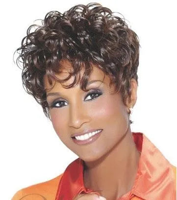 Natural African American Hairstyle Short Curly Wig