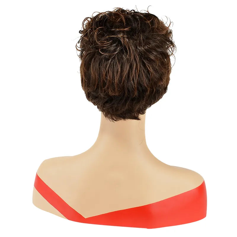 Natural African American Hairstyle Short Curly Wig