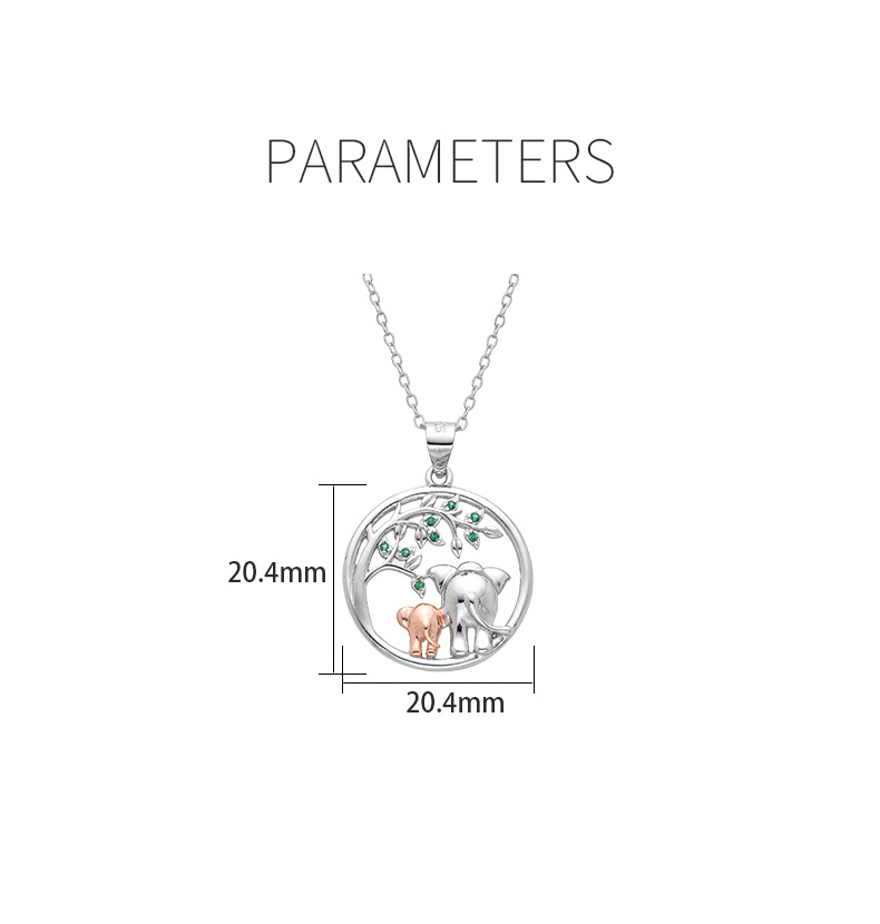 S925 Silver Women's Necklace CCX013