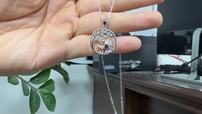 S925 Silver Women's Necklace CCX013