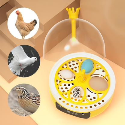 Mini Haushalts-Inkubator mit intelligenter Steuerung für wissenschaftliche Bildung