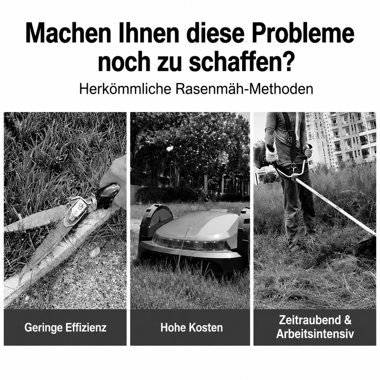 7e41bf47-7818-4d1b-bdd1-1e02c6324946.png