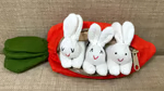 Hide-and-Seek Bunnies in Carrot Pouch