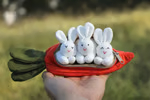 Hide-and-Seek Bunnies in Carrot Pouch