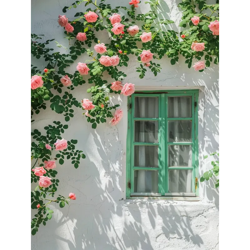 🌹Climbing the Wall Rose Seeds-Bring Elegance to Your Garden