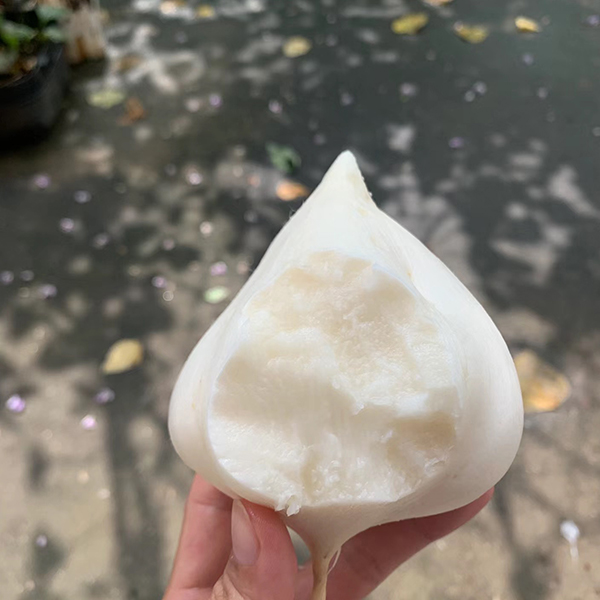 Sweet & Crunchy Jicama Seeds