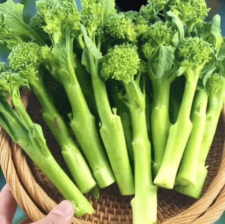 FOUR SEASONS Green Broccoli Stem SEEDS
