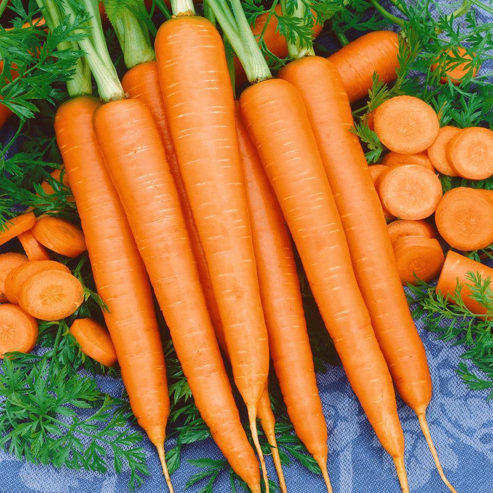 🥕 Nasiona Marchwi „Nantindo” – Słodka i Jednolita Marchew