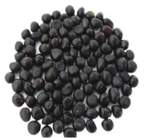 🌺 Кралицата на цветята – Божур с двойни венчелистчета