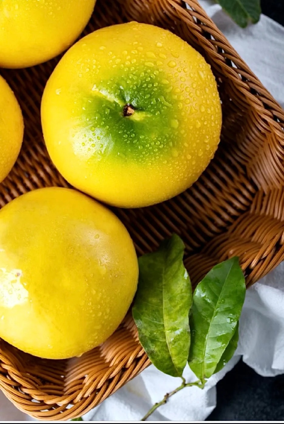 🔥50% zniżki 🥭🥭Nasiona złotych owoców - Owoce Abiu - Pouteria caimito