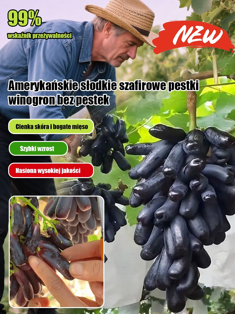 Nasiona winorośli Sweet Sapphire