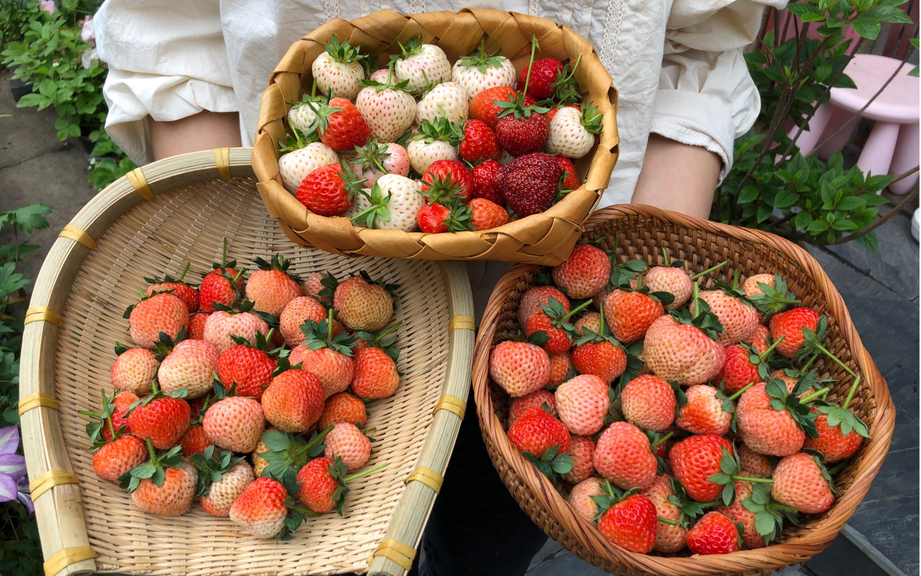 🍓 Nasiona truskawek o smaku brzoskwiniowo-wędzonym