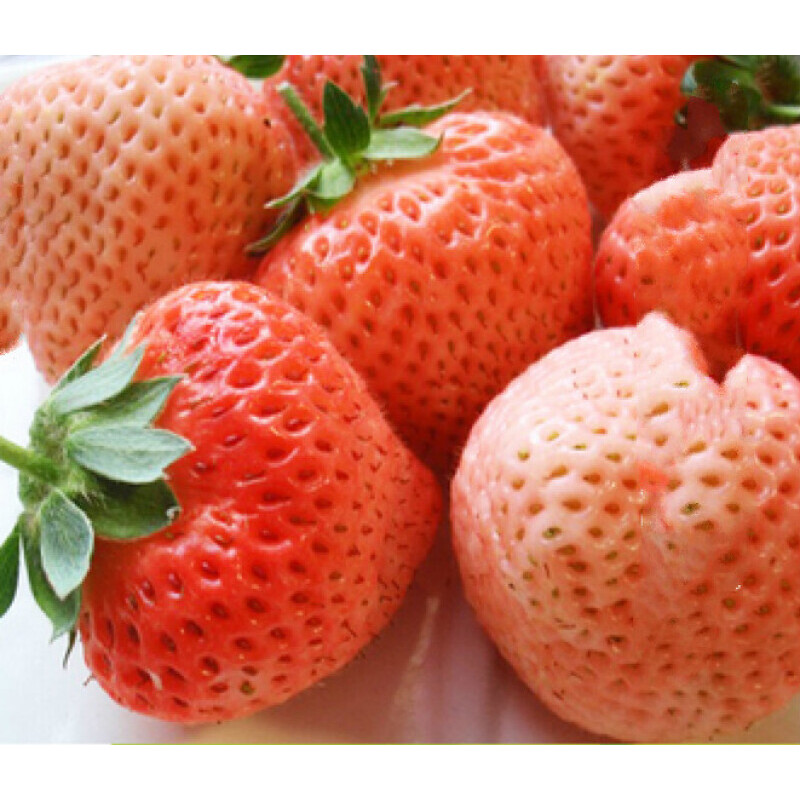 🍓 Nasiona truskawek o smaku brzoskwiniowo-wędzonym