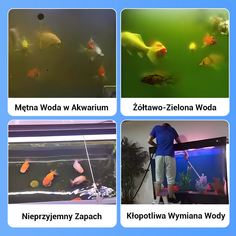 【1+2 gratis 】🐠Wydajna tabletka do oczyszczania wody w akwarium