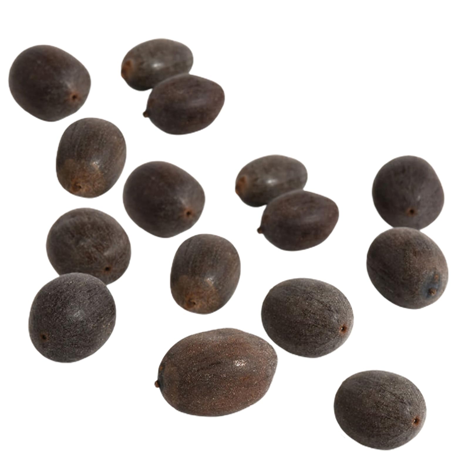 Stwórz własną wodną oazę w domu – wysokiej jakości nasiona lotosu