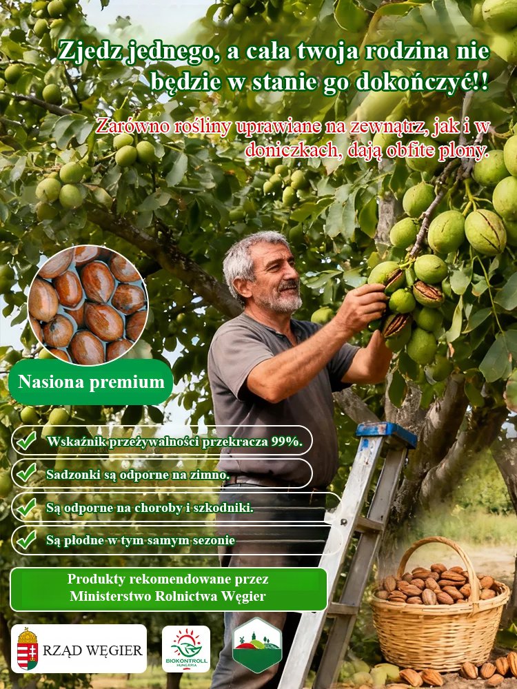 Wyselekcjonowane nasiona orzechów – mocne kiełkowanie, doskonała jakość