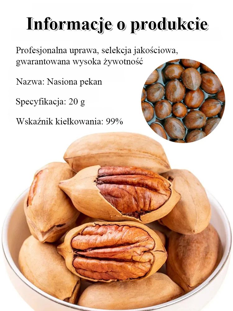 Wyselekcjonowane nasiona orzechów – mocne kiełkowanie, doskonała jakość
