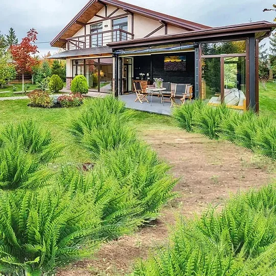 🔥 $9.9 On Sale Only Today 🌱 UV Resistant Ferns Artificial Plants Large for Planters, Office & Home Decor, Outdoor & Indoor