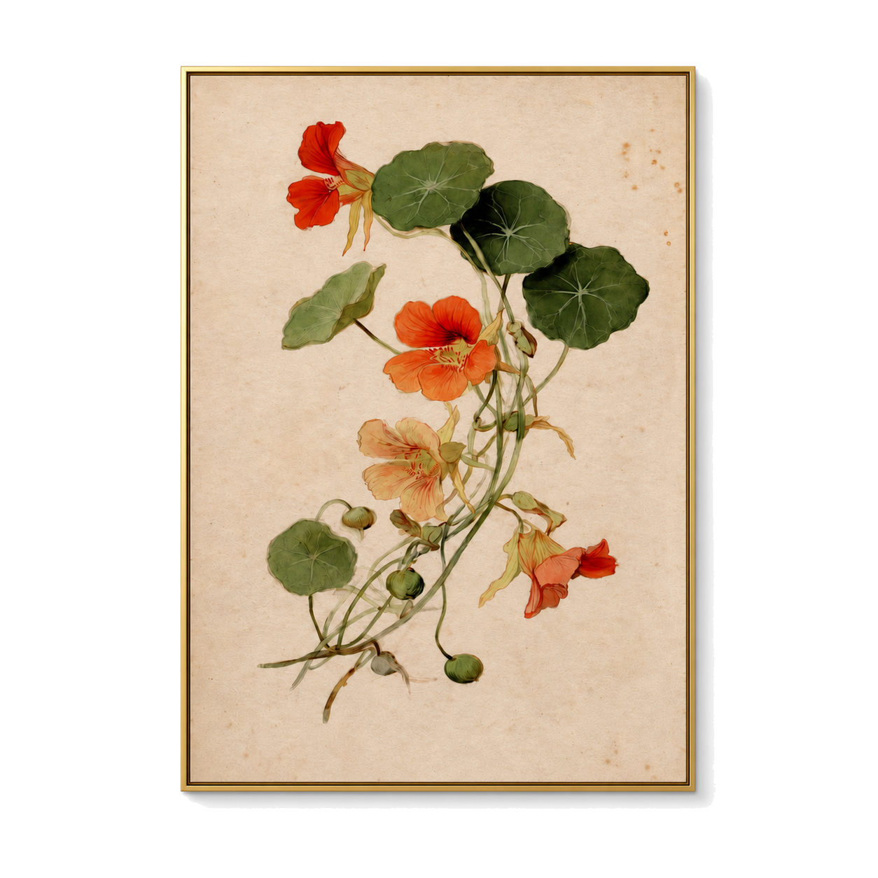 Nasturtium Cascade - Vintage Botanical Flower Oil Painting