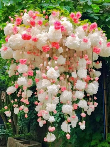 🌸 Семена от бегония — лесни за отглеждане и поддръжка, декоративни през всички сезони. Придайте блясък на вашата градина.