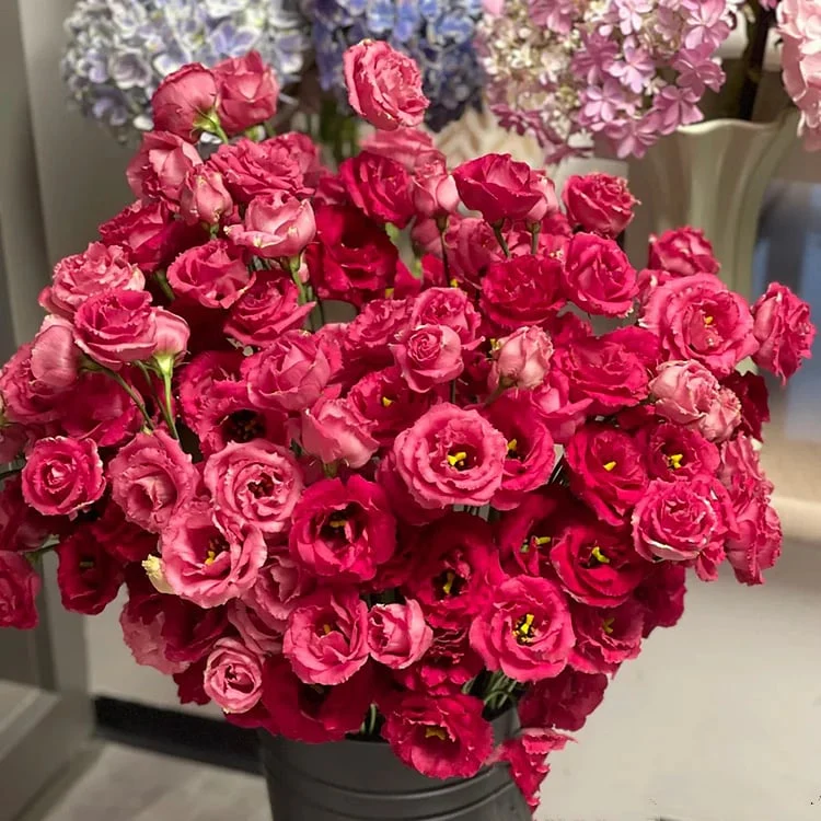 🔥 Последен ден от продажбата 💝 Еустома (без бодли) – Роза 💐 Семена от лизиантус