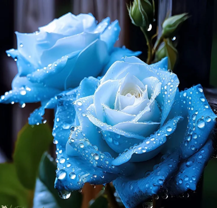 💙 Семена на синя омагьосана роза ✨