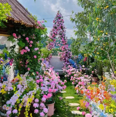 🌹 Листащи рози за катерене – Красота и аромат във вашата градина! 🌹