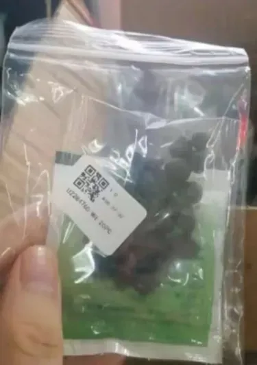 🌺 ЦАРИЦАТА НА ЦВЕТЯТА — Величествен БОЖУР