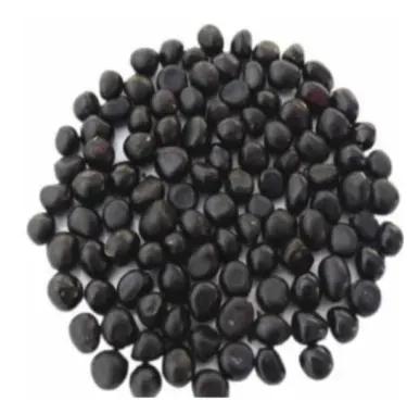 🌺 ЦАРИЦАТА НА ЦВЕТЯТА — Величествен БОЖУР