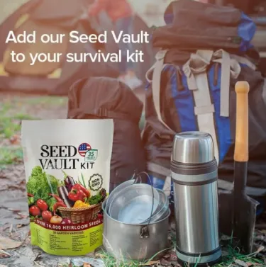 🥕 Нова серия 2026 – гореща оферта със 52% отстъпка! 🥦 🌱 Комплект семена за зеленчуци – 35 вида в едно пакетче 🍅 Насладете се на отглеждането на богата зеленчукова градина директно у дома! 5 отзива