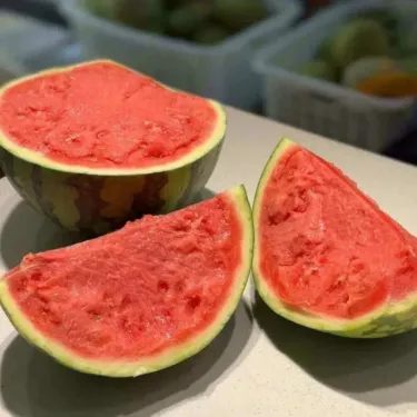 🍉 Сочни семена от диня „Lazy Man“ – лесни за отглеждане и с висока кълняемост 🍉