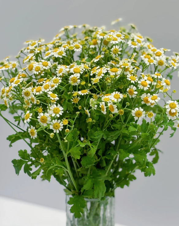 Изкуствени цветя – Декоративни теменужки и цветни букети за вашия дом