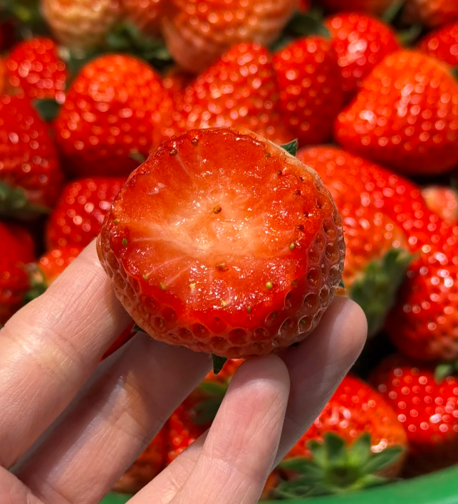 🍓 Семена от ягоди – бърз растеж, много плодове, вкусът на лятото!