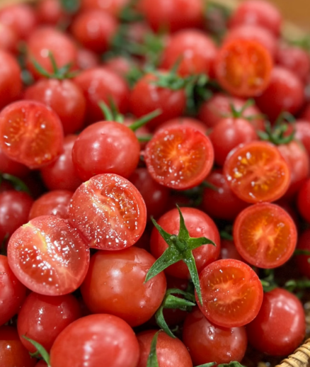 Премиум семена от домати Waterfall - Високодобивни каскадни чери домати за висящи кошници и балкони