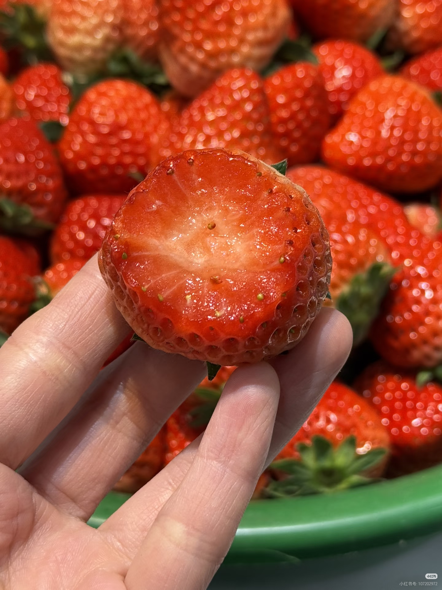 🏆 Продадени са над 75 000 опаковки! 🍓 Семена от ягоди „Сладка мечта с крем“ – Премиум качество за сладка реколта（Ограничено време: тор безплатно）