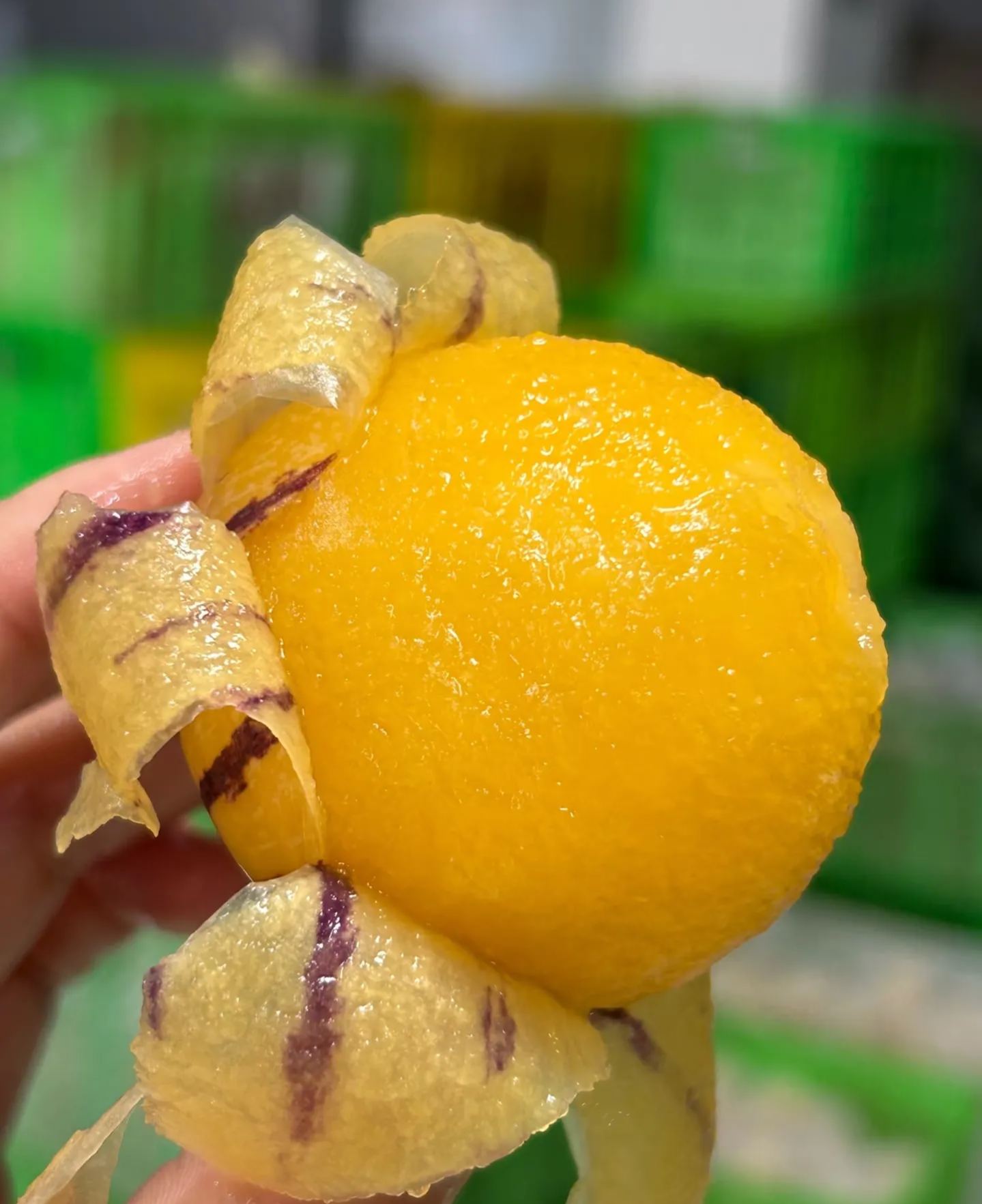 🏆 Продадени са над 75 000 опаковки! 🌿Семена от плод на женшен - лесни за отглеждане🌱