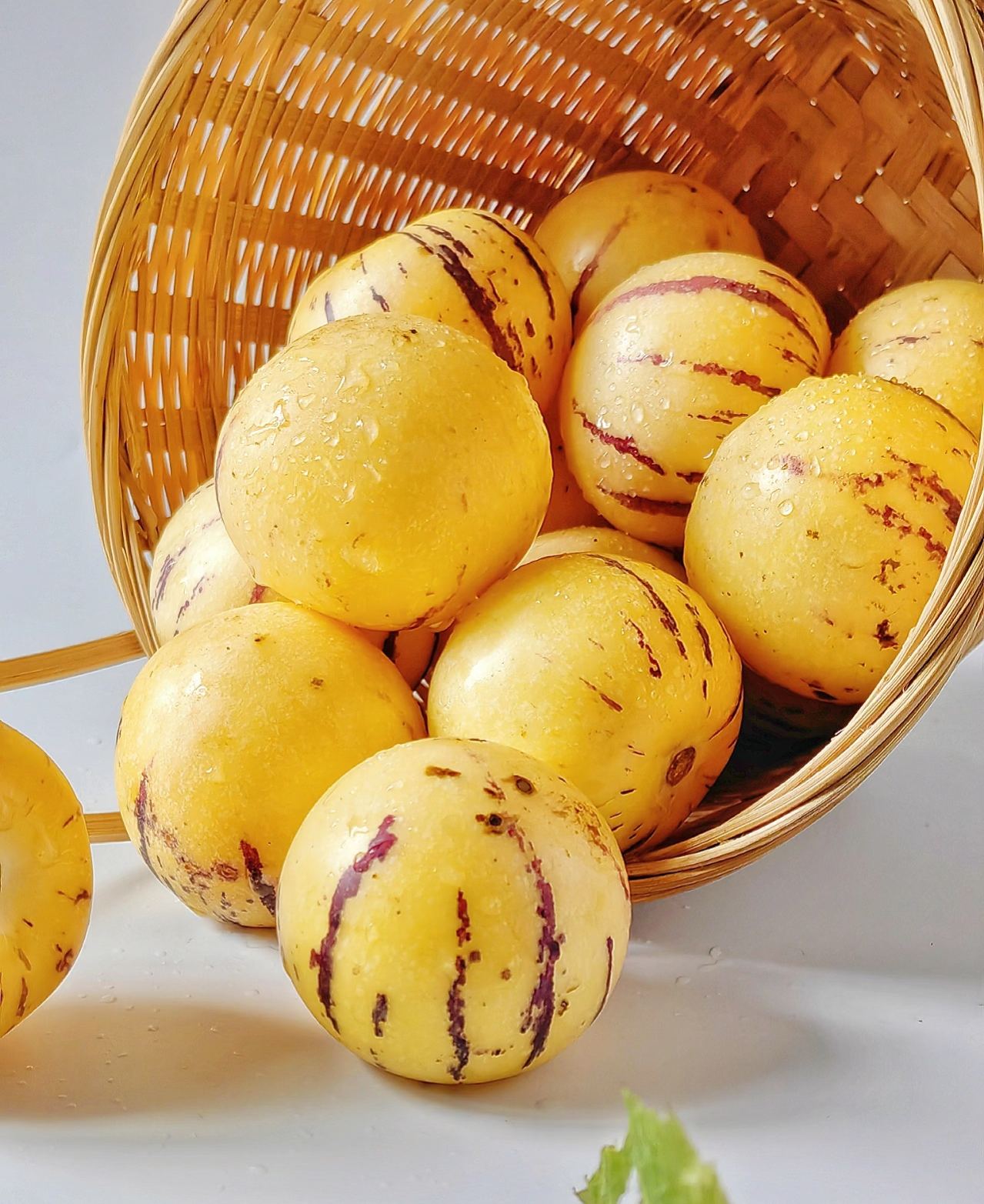 🏆 Продадени са над 75 000 опаковки! 🌿Семена от плод на женшен - лесни за отглеждане🌱