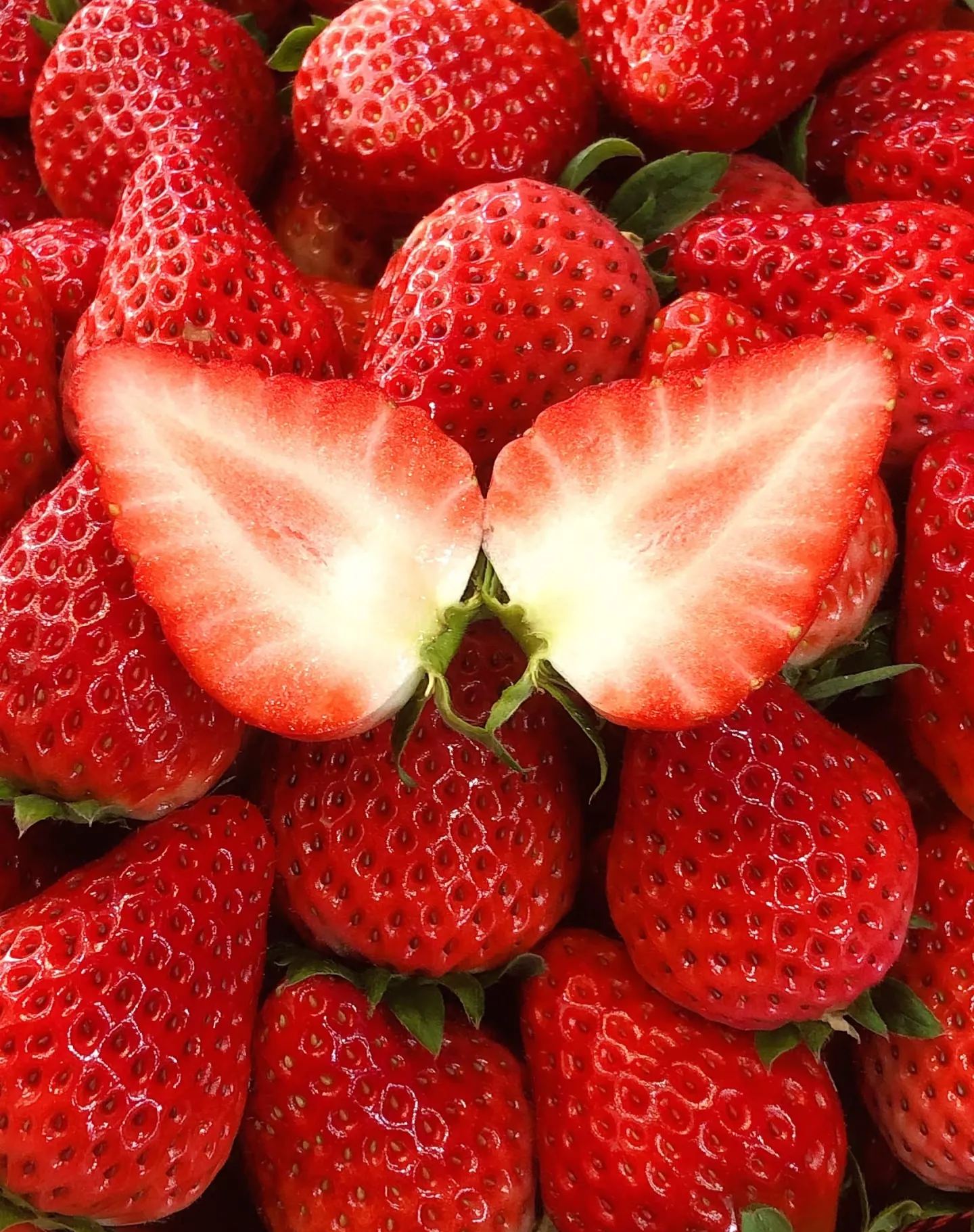🏆 Продадени са над 75 000 опаковки! 🍓 Семена от ягоди „Сладка мечта с крем“ – Премиум качество за сладка реколта（Ограничено време: тор безплатно）