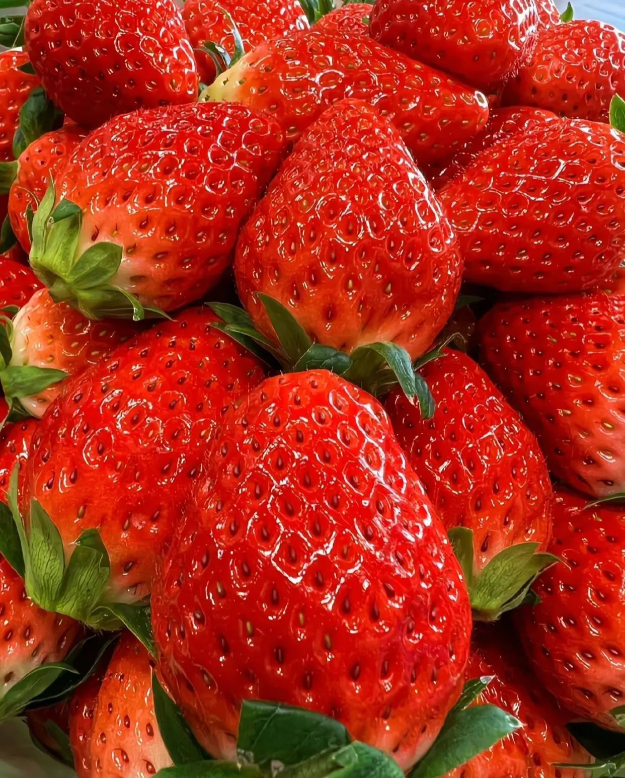 🏆 Продадени са над 75 000 опаковки! 🍓 Семена от ягоди „Сладка мечта с крем“ – Премиум качество за сладка реколта（Ограничено време: тор безплатно）