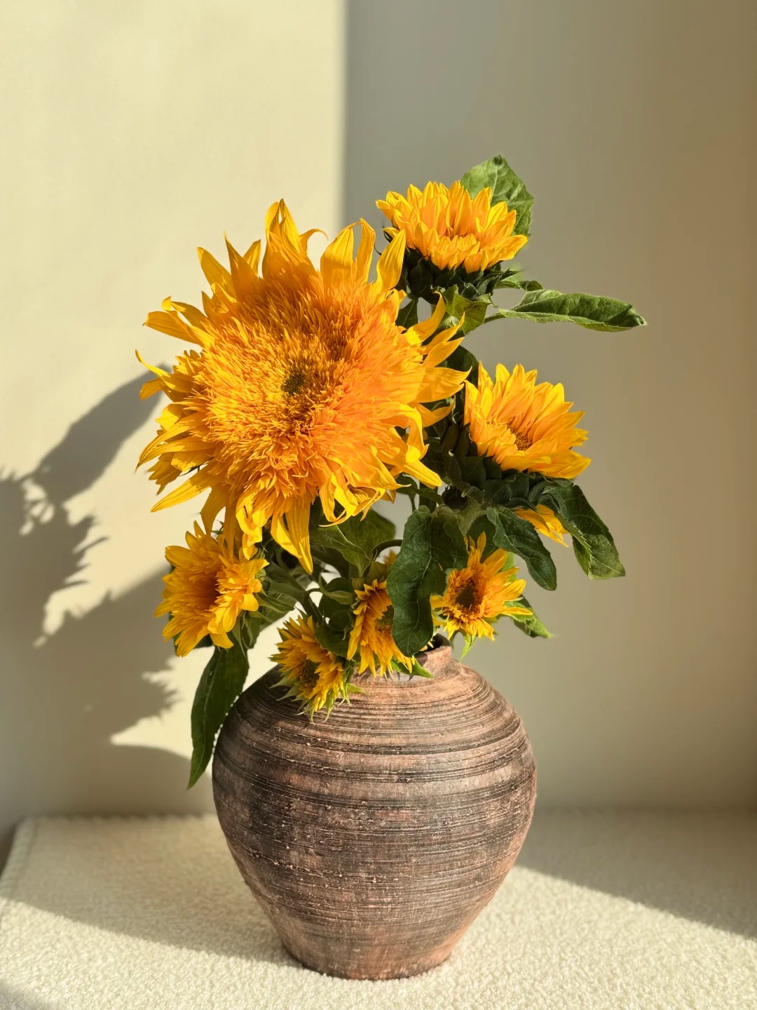 🌻 Adorable Giant Teddy Bear Sunflower 🔆
