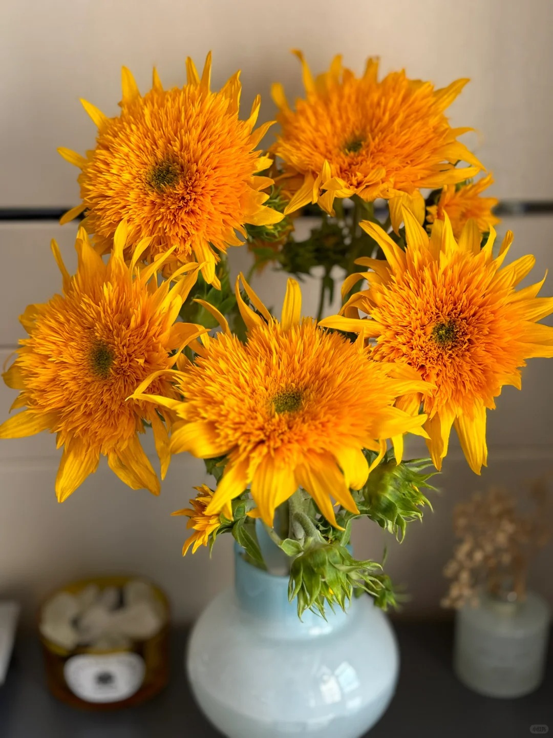 🌻 Adorable Giant Teddy Bear Sunflower 🔆