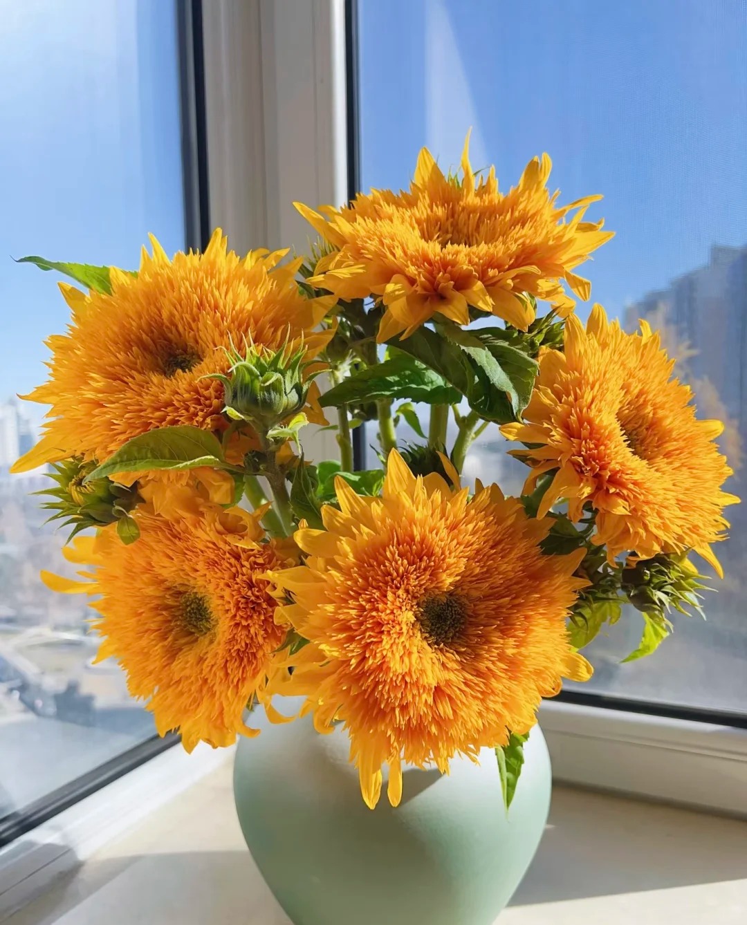 🌻 Adorable Giant Teddy Bear Sunflower 🔆